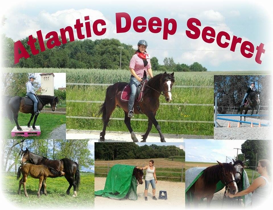 Atlantic Deep Secret